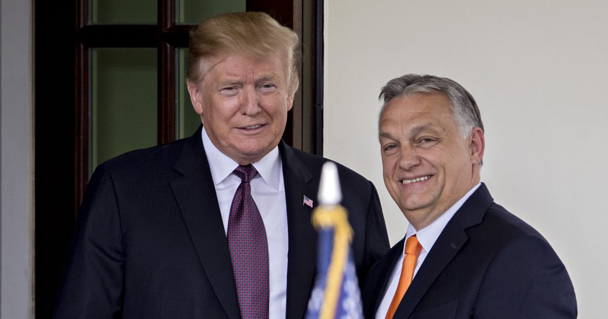 Трамп убедил Орбана убрать препятствия для вступления Украины в ЕС, — СМИ
