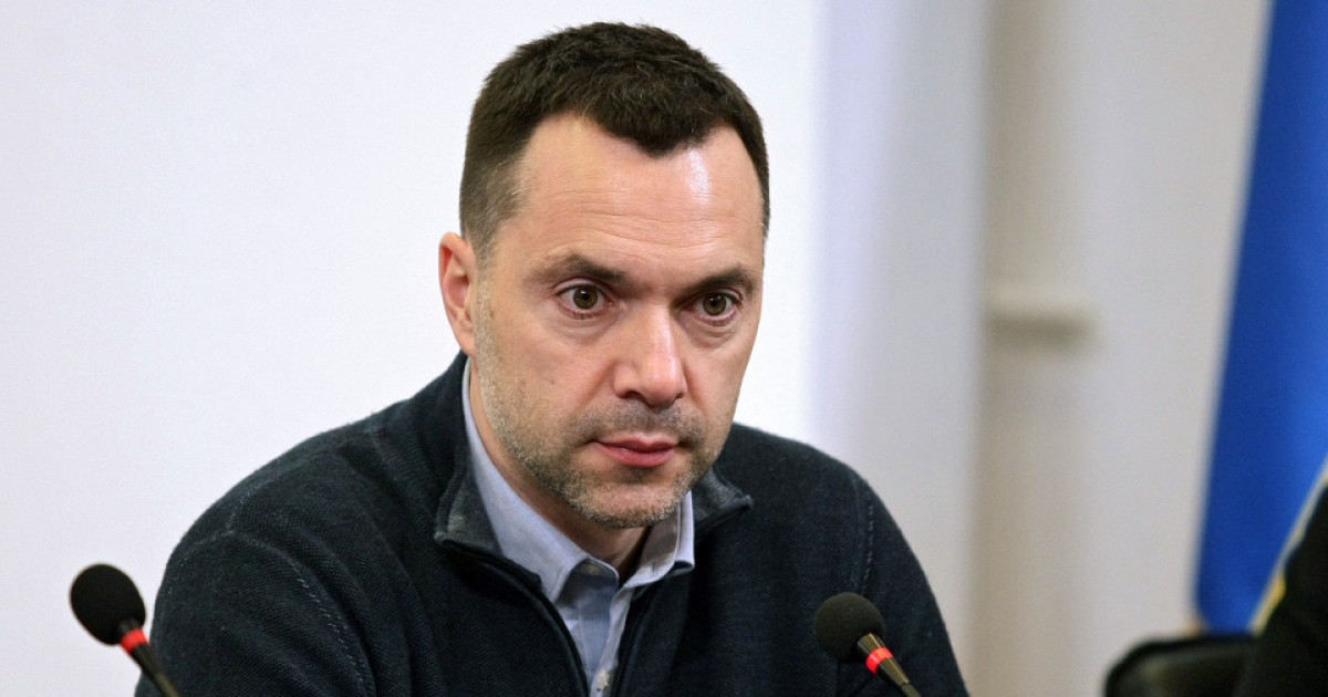 эксперт дала ответ, сможет ли Арестович баллотироваться на выборах в Украине