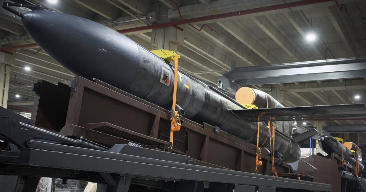 Миндич хотел получить 50% компании, производящей ракеты «Фламинго», — совладелец Fire Point