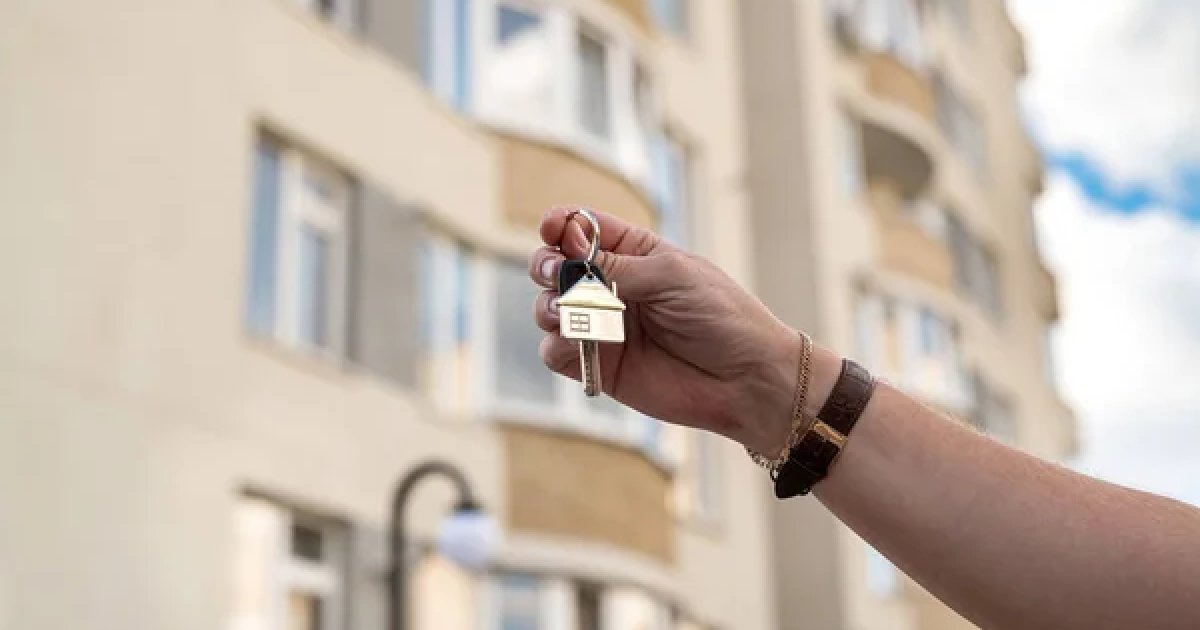 Компания, отвечающая за «еселя», получила новый наблюдательный совет —…