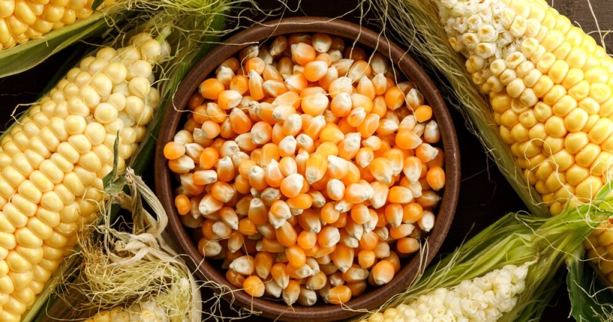 USDA сократило оценку по Украине