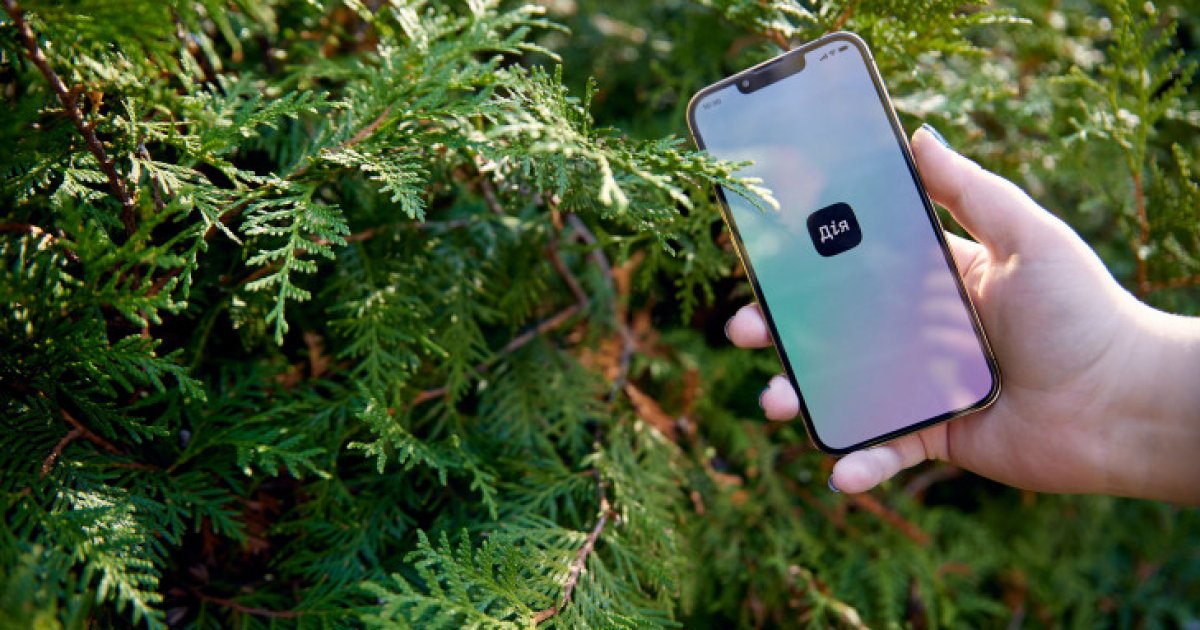 какая услуга в «Дії» стала популярной