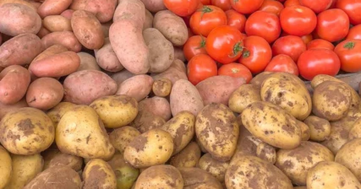Новогодний ажиотаж: помидоры дорожают, картофель дешевеет