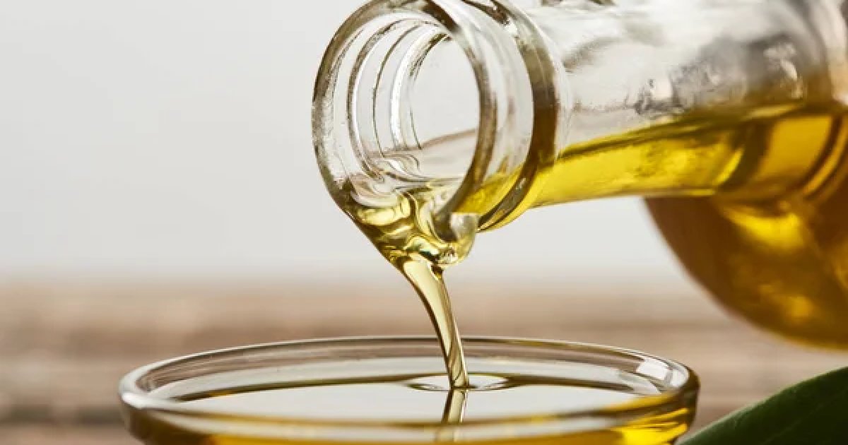 Растительные масла в 2024 году составили 23% украинского экспорта