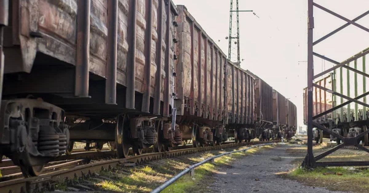 Экспорт зерна по железной дороге вырос на 25%: больше всего через Венгрию