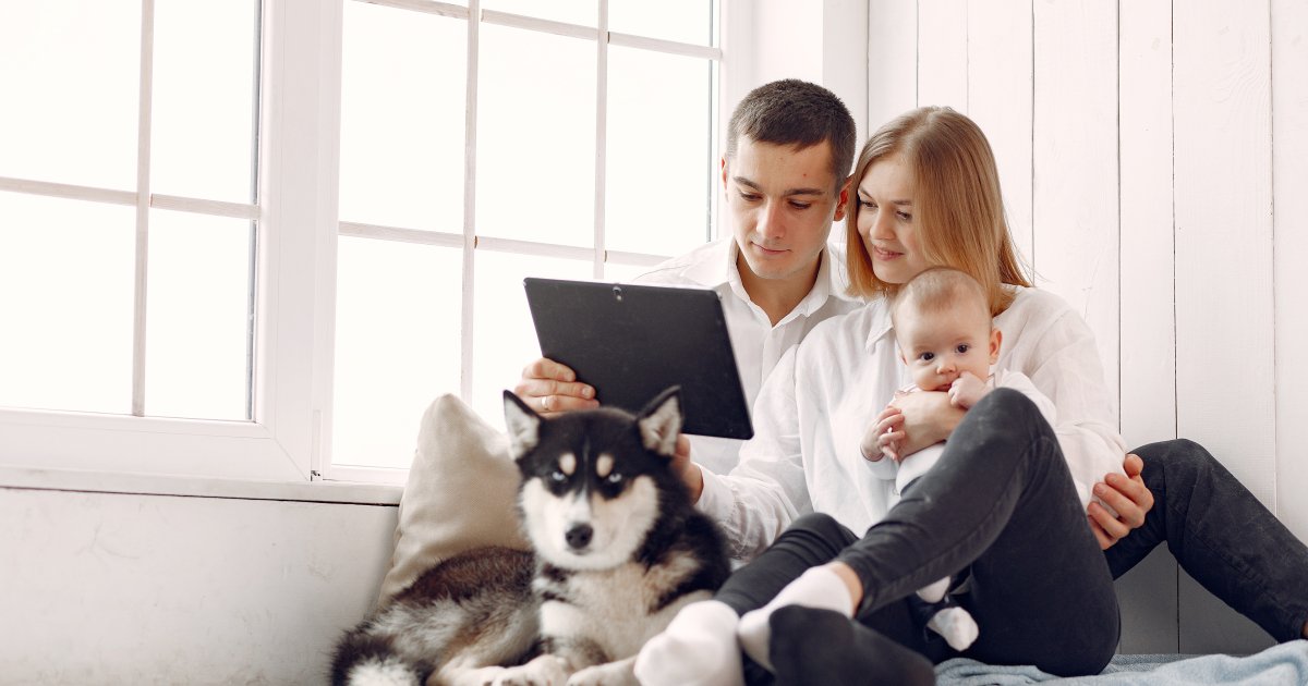 какие у них шансы на аренду