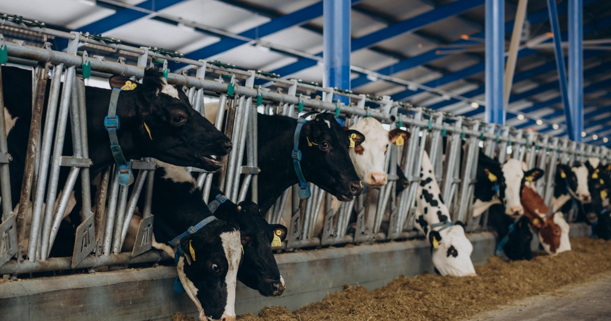 Государственная компенсация за строительство ферм 2025: выплачено 116 млн грн