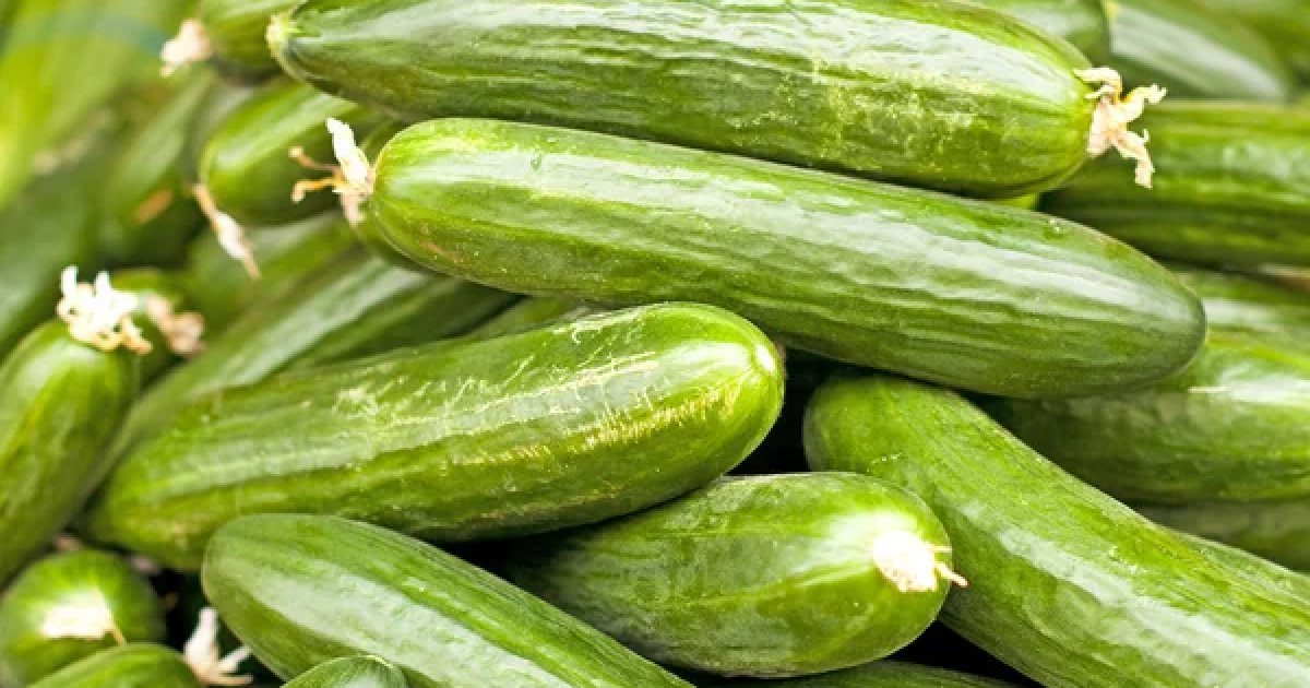 Перед новогодними праздниками цены на огурцы в Украине стремительно пошли вверх