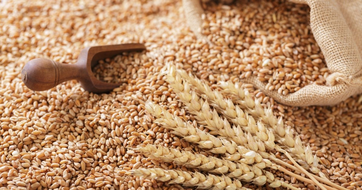 цены падают из-за атак РФ и дорогой фрахт