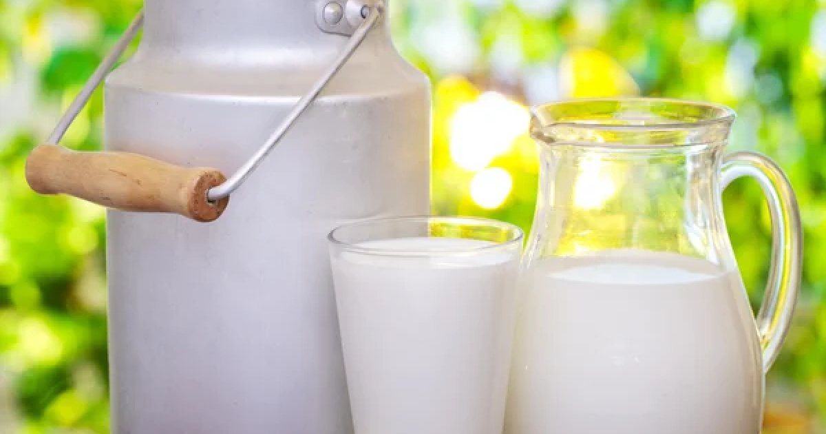 Украинские фермы снизили производство молока на 11% в ноябре