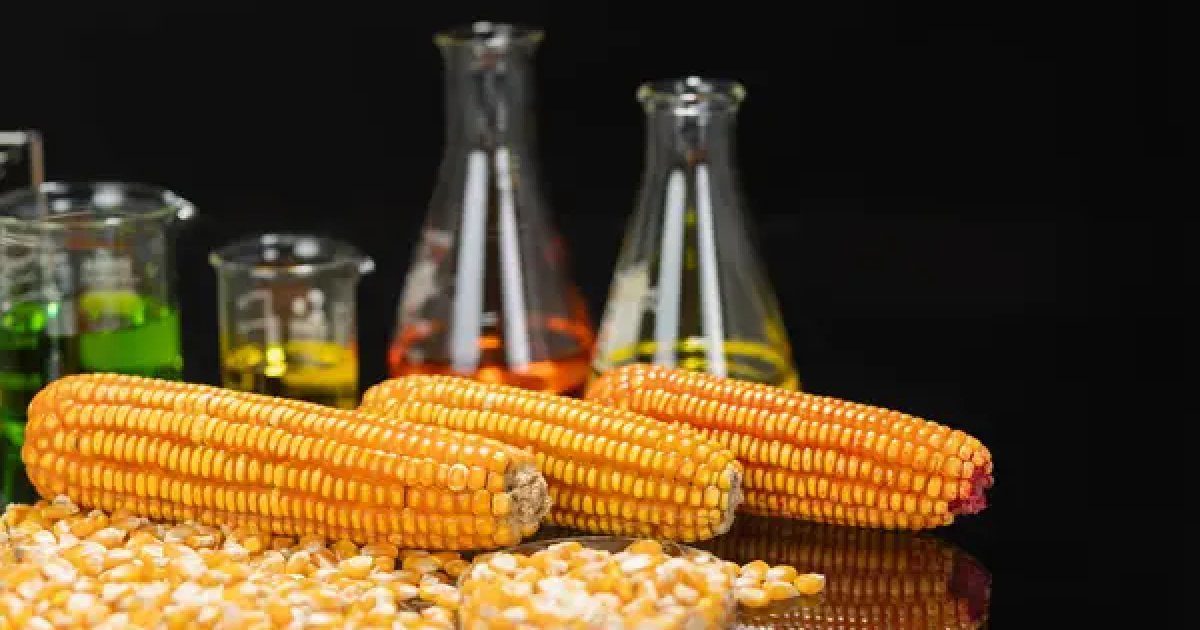 В Украине строят биоэтанольные заводы суммарной мощностью более 1 млн тонн