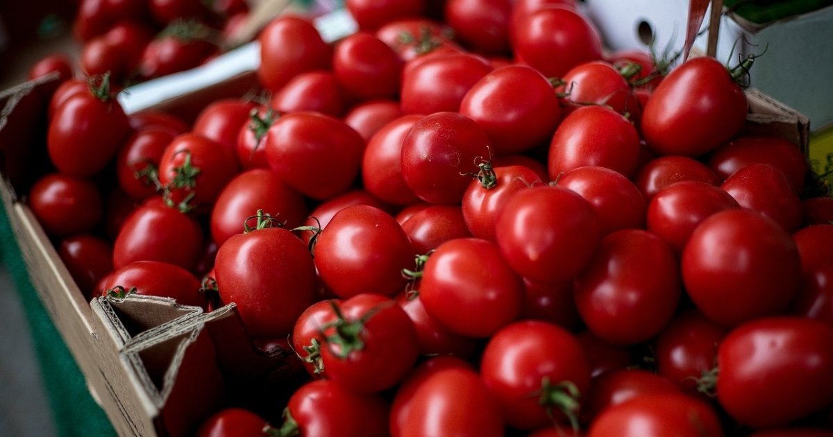 В Украине дешевеют помидоры из-за снижения спроса на импортные томаты