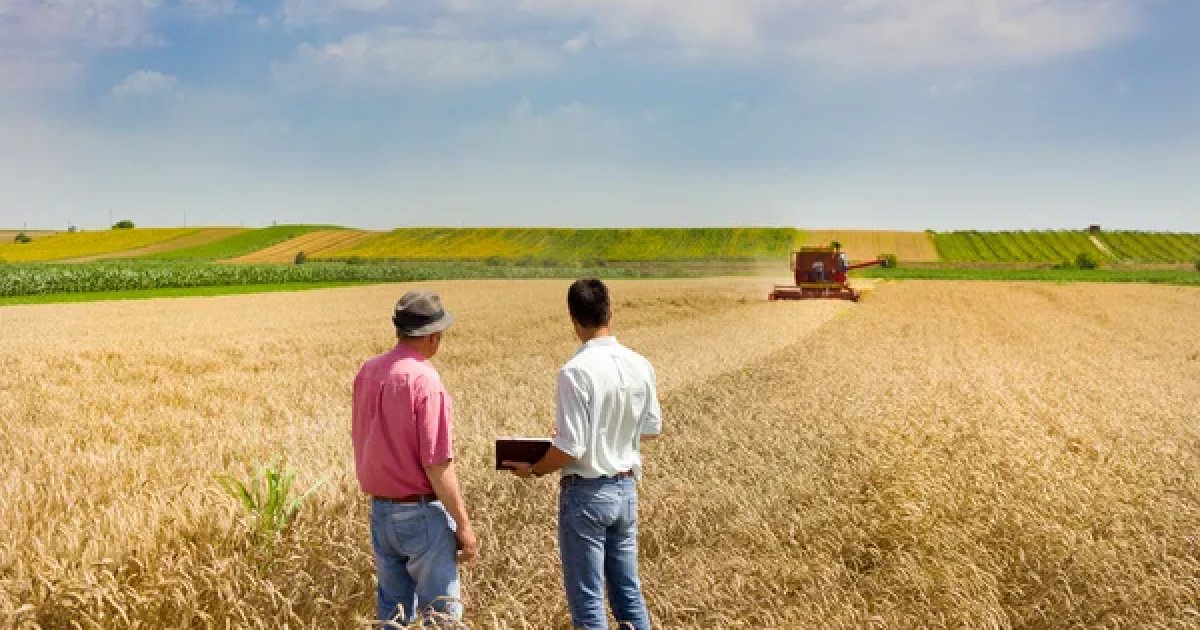 гарантии до 50% и лимит в 80 млн грн