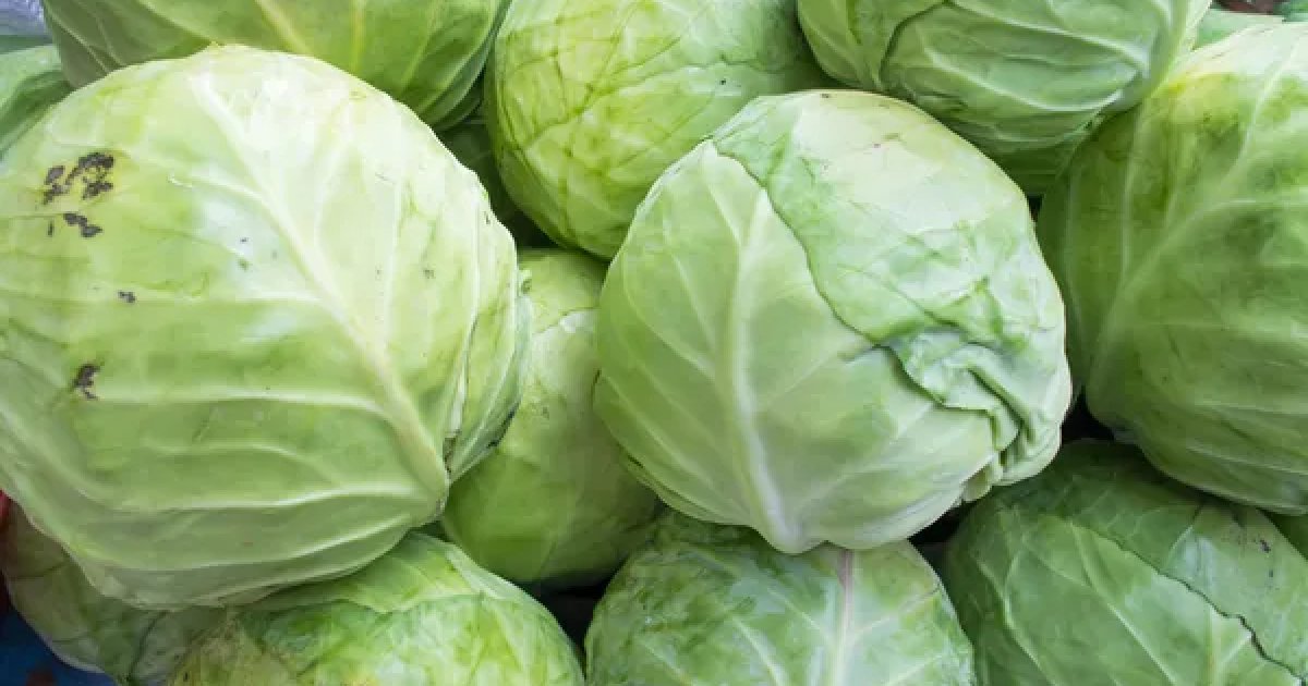 Стоимость капусты в Украине снова пошла вниз: сколько сейчас стоит овощ