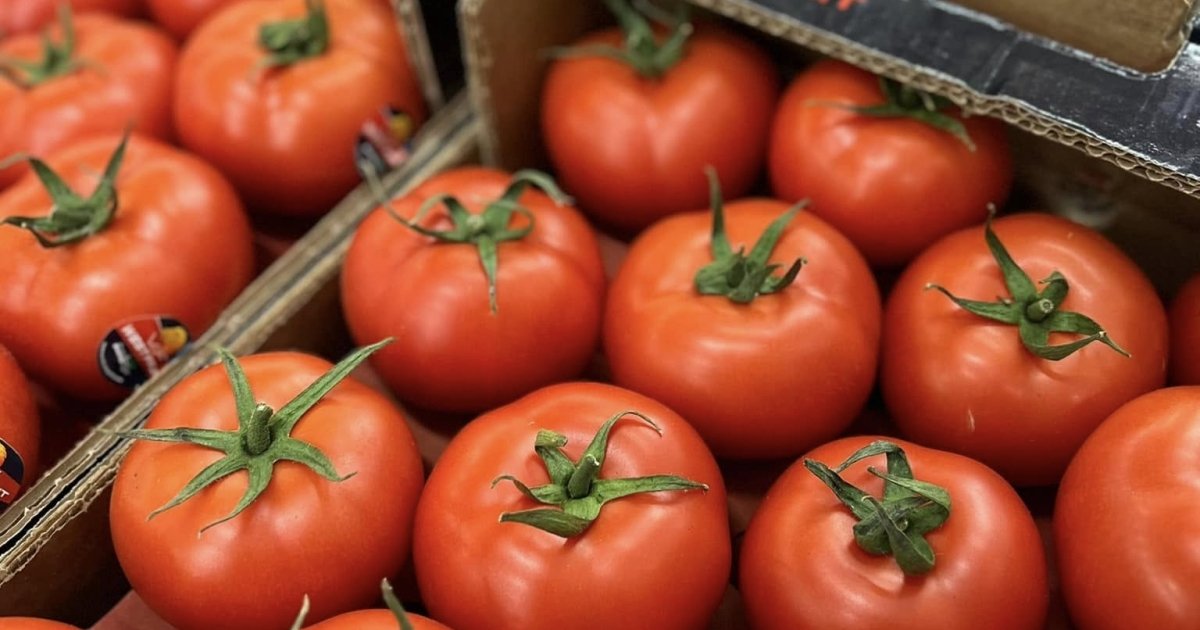 В Украине растут цены на помидоры перед новогодними праздниками — Delo.ua