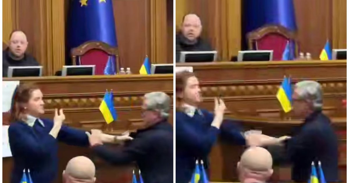 нардепы Тарута и Безуглая подрались во время заседания (видео)