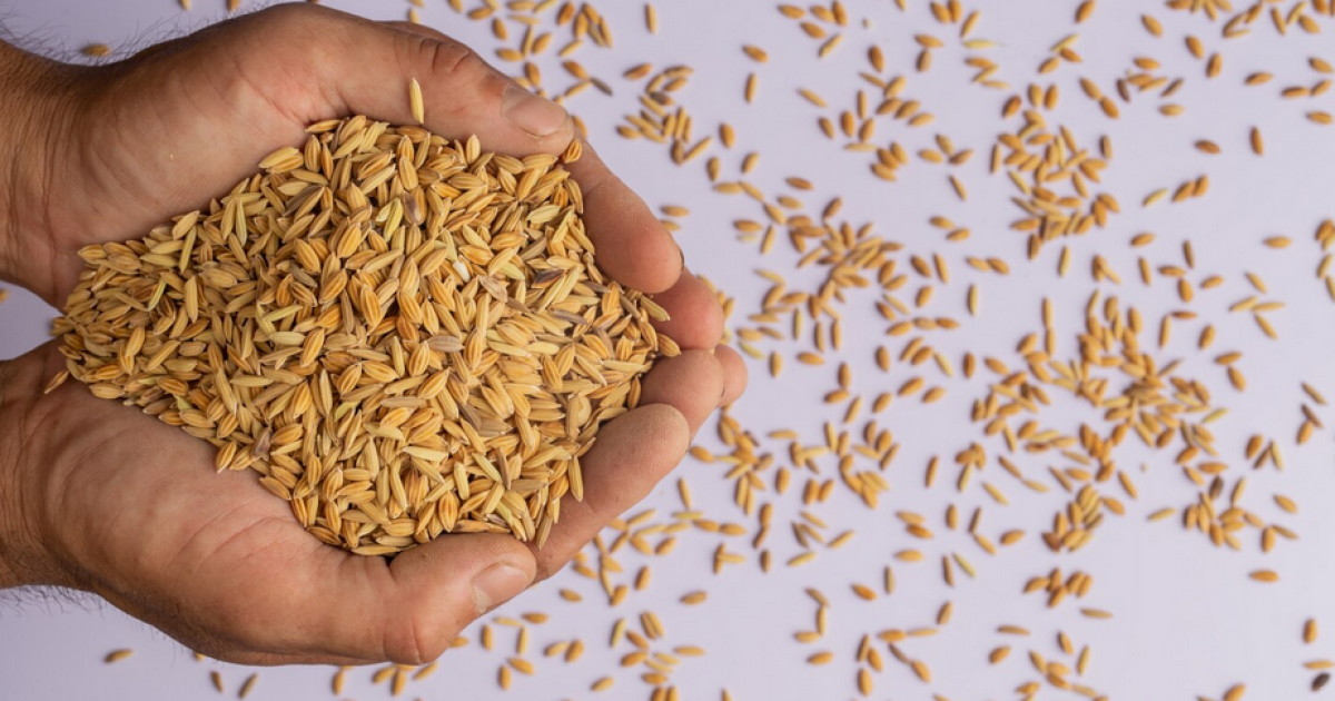 Турция нарастила импорт в 6,4 раза, Китай – снизил на 31%