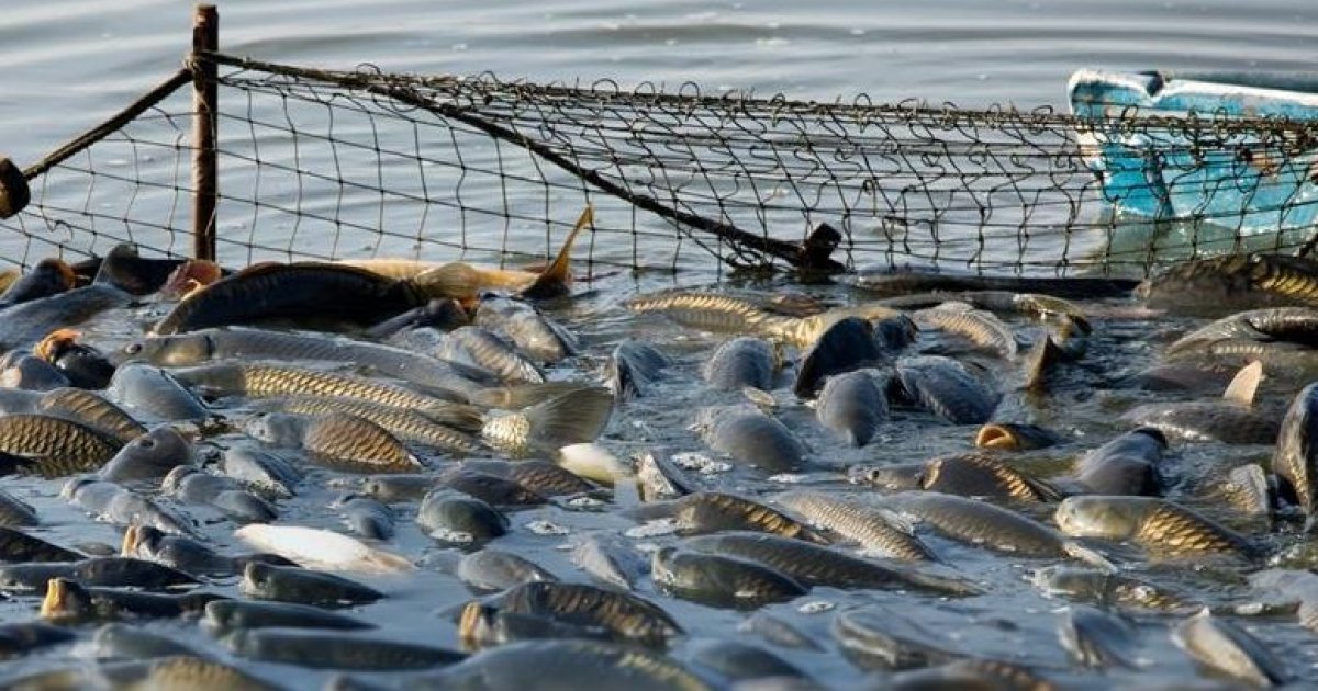 кто имеет право и сколько платит государство