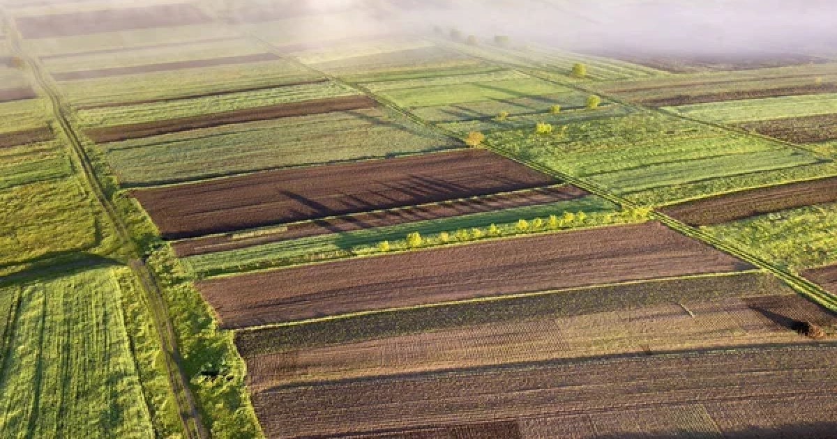 Новая декларация по аренде госземель 2026: главные изменения для бизнеса