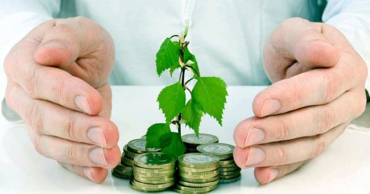 Запустили государственную поддержку страхования агропродукции — Delo.ua