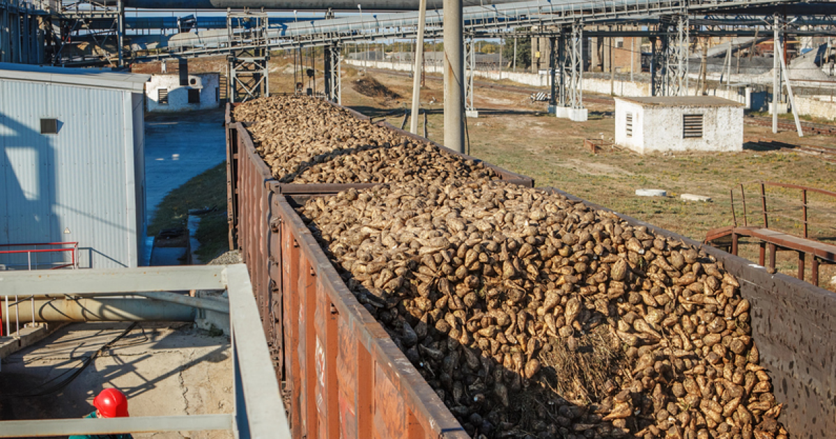 Галс Агро начал использовать биометан для производства сахара