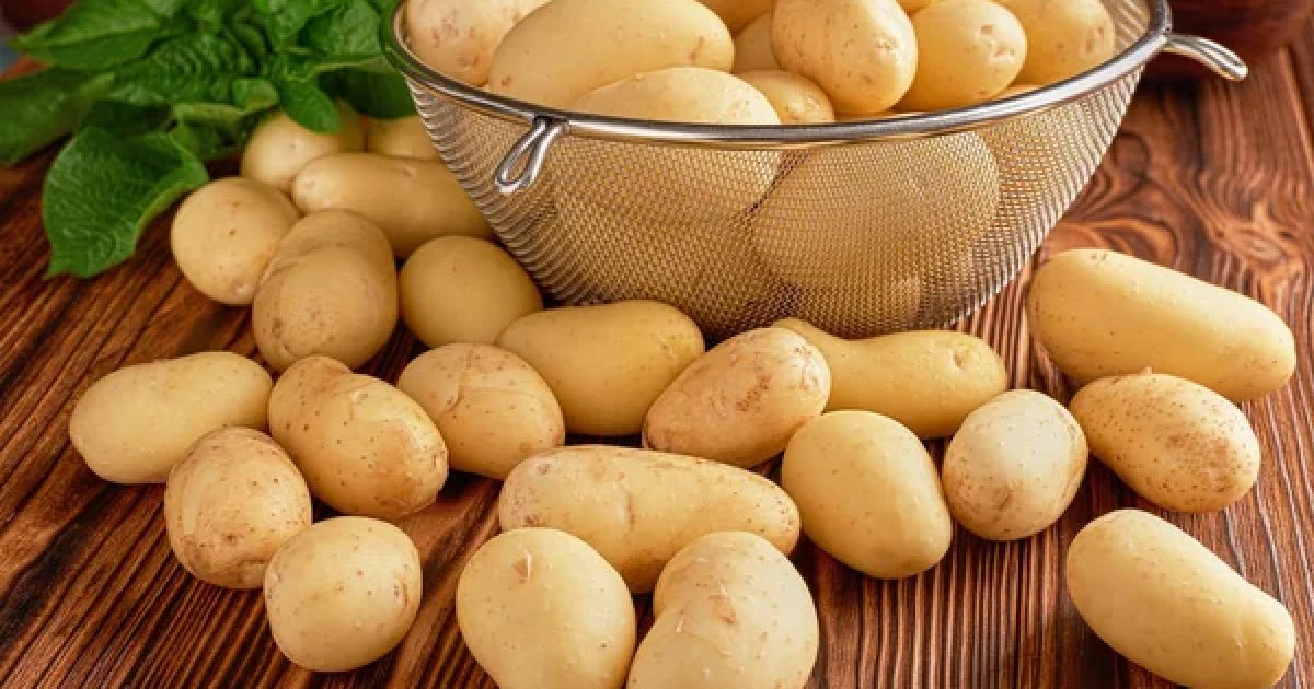 фермеры готовятся к дальнейшему росту цен