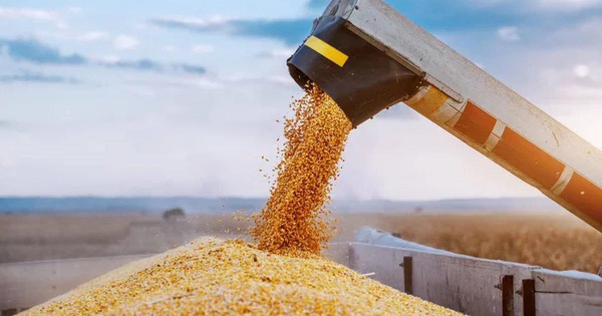 Кения получила первую партию продовольствия в рамках Food from Ukraine