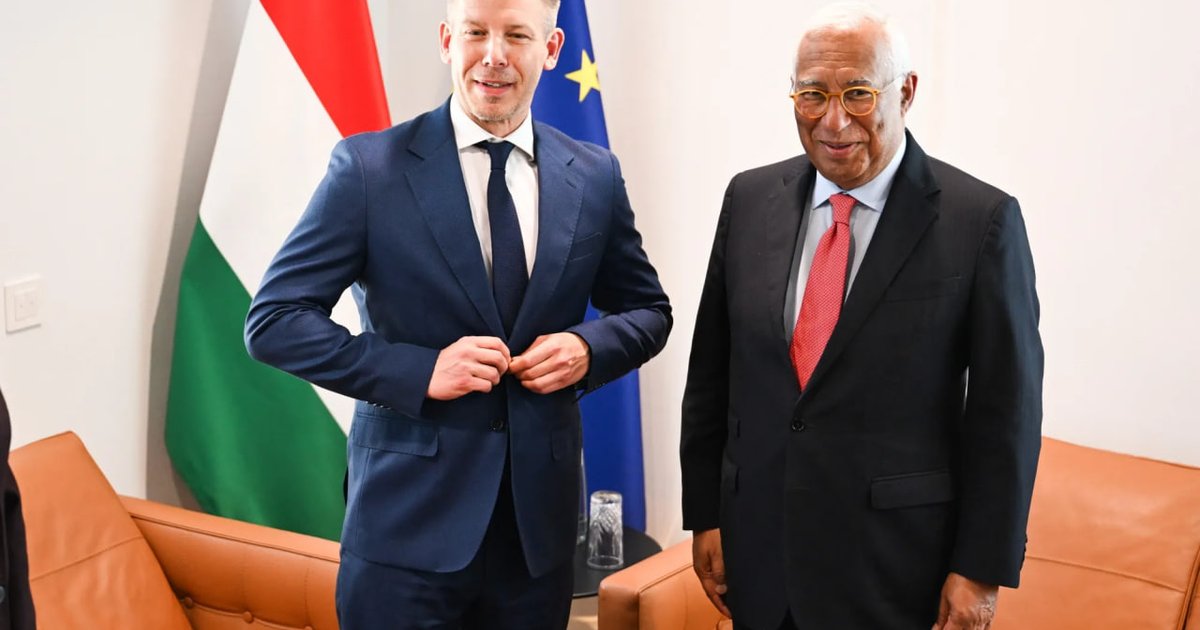 Мадьяр выдвинул условия, при которых поддержит вступление Украины в ЕС, — СМИ