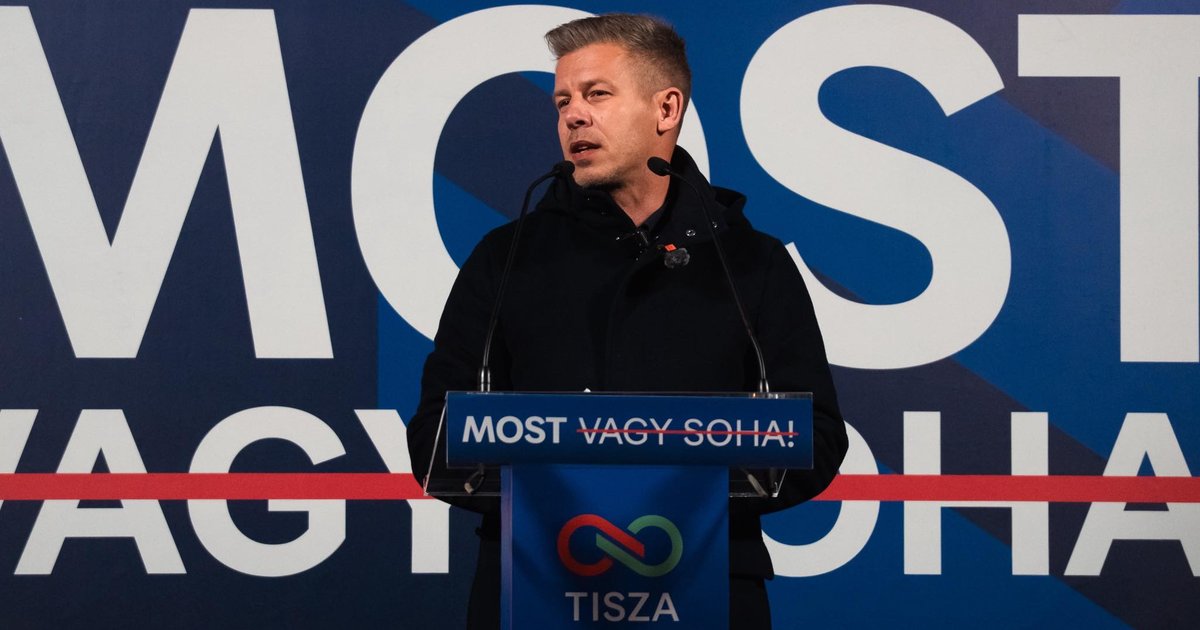 Петер Мадьяр обратился к Зеленскому из-за «Дружбы»