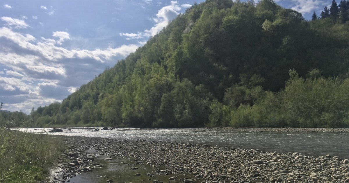 В Украине ограничили забор воды для бизнеса из-за маловодия — Delo.ua