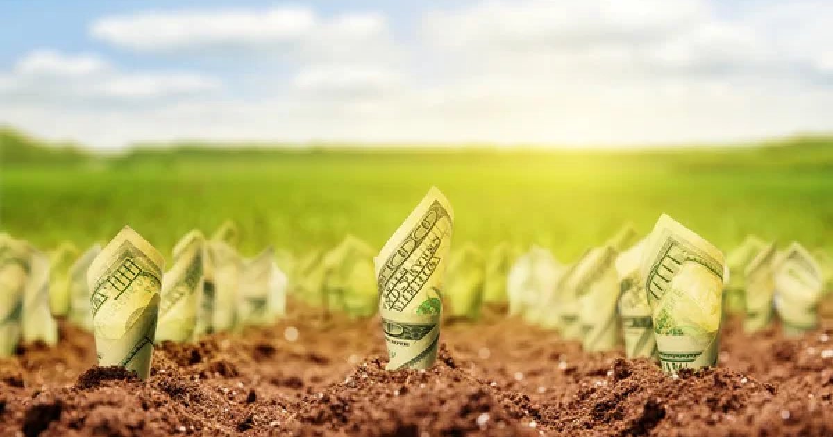 Сколько стоит гектар земли в Украине в 2026 году