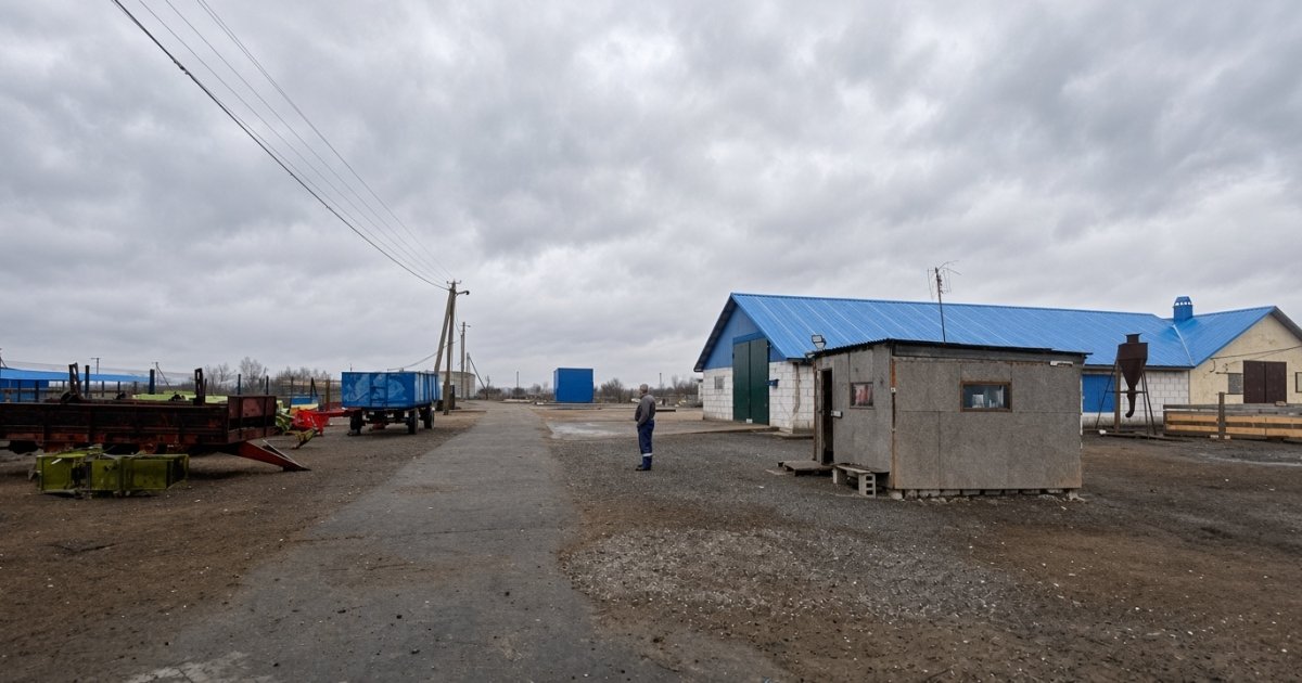 АРМА готовит к управлению Полтавские молокопродукты